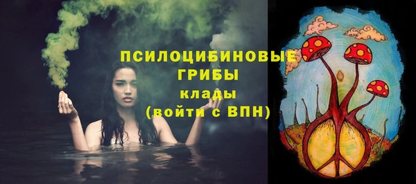 эйфоретик Алзамай