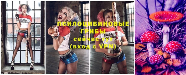 a pvp Алексеевка