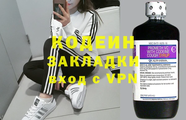 эйфоретик Алзамай