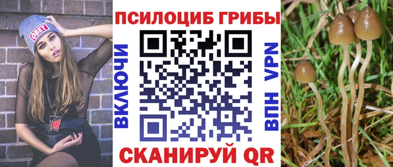Псилоцибиновые грибы MAGIC MUSHROOMS Харовск